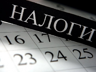 Имущественные налоги надо заплатить до 1 декабря – ФНС