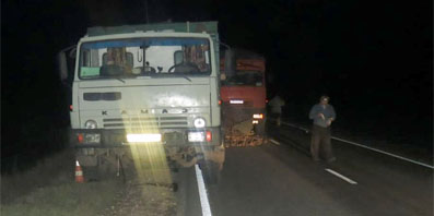 В Орловской области столкнулись два КамАЗа